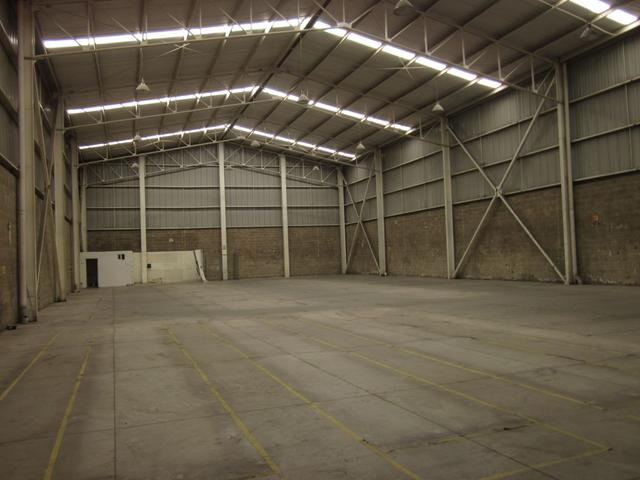 Foto de la galeria de imagenes